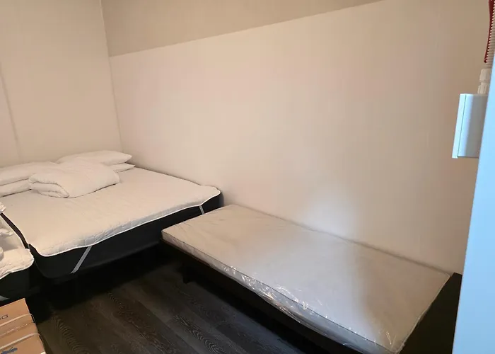 Hotel Dmc Hostel-55 *